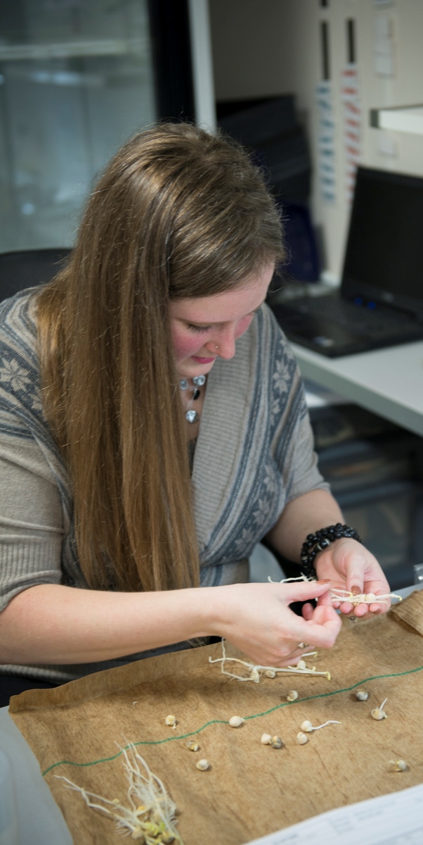 Morgan  Saumer, Purity and Germination Analyst