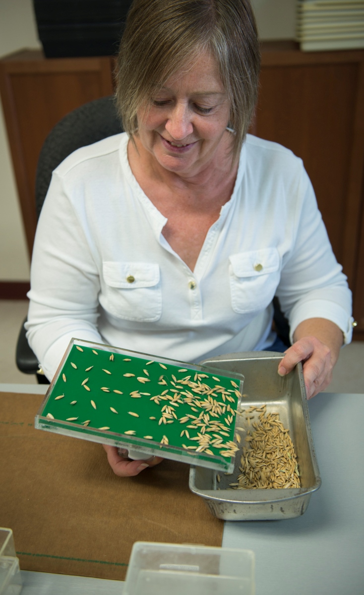 Debora Wheeler, Germination Analyst, Mixing and Planting Technologist